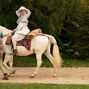 Bilder Black Narcissus