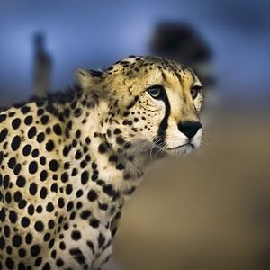 Bilder Earth At Night In Color