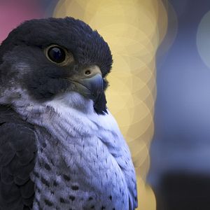 Bilder Earth At Night In Color