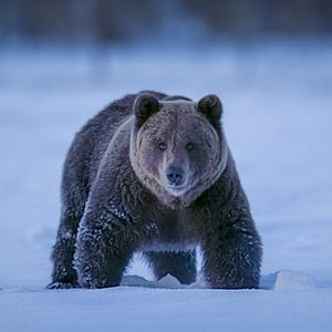 Bilder Earth At Night In Color