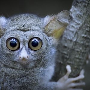 Bilder Earth At Night In Color