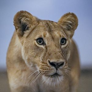 Bilder Earth At Night In Color