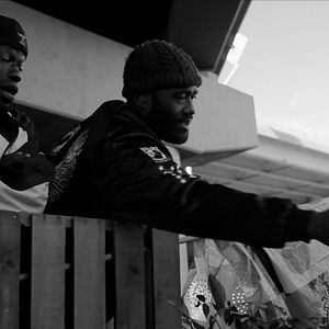 Bilder Dirty Feathers