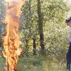 Bilder Theo And The Metamorphosis