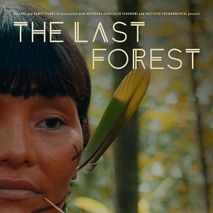 Bilder The Last Forest