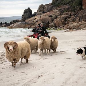 Bilder Besser wird's nicht