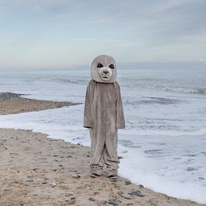 Bilder Fra det vilde hav