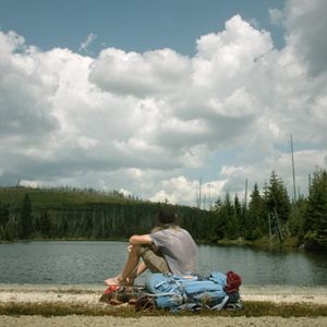 Bilder Der wilde Wald - Natur Natur sein lassen