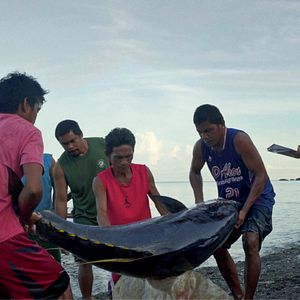 Bilder Letzte Tage am Meer