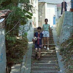 Bilder Sommerflirren