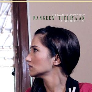 Bilder Bunte Schmetterlinge