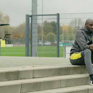 Bilder Schwarze Adler