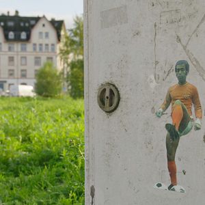 Bilder Schwarze Adler