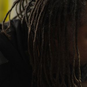 Bilder Schwarze Adler