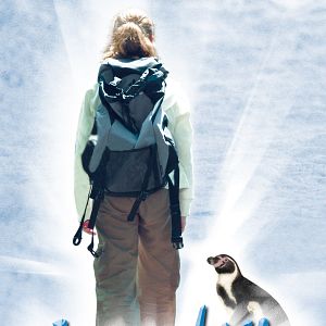 Bilder Amundsen der Pinguin