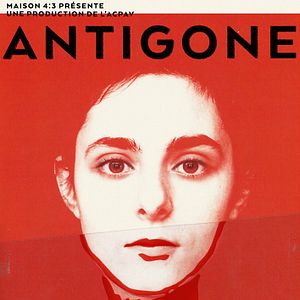 Bilder Antigone