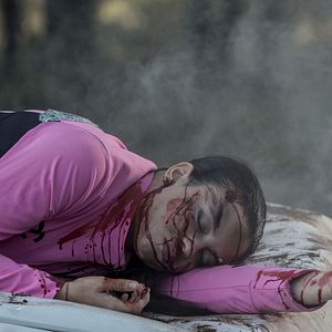 Bilder Growl - Er riecht deine Angst