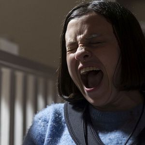 Bilder Growl - Er riecht deine Angst