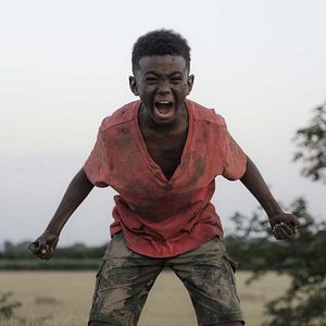 Bilder The Last Tree