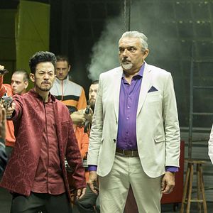 Bilder Zwei Bullen auf Ziegenjagd