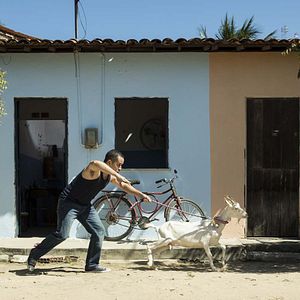 Bilder Edmilson Filho