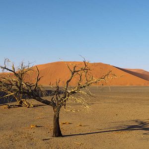 Bilder Stimmungen der Erde