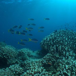 Bilder Stimmungen der Erde