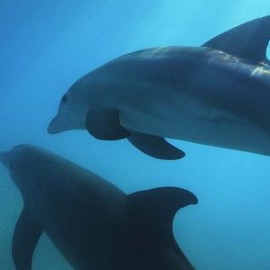 Bilder Stimmungen der Erde