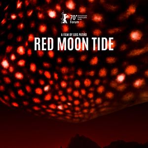 Bilder Red Moon Tide