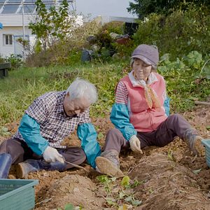 Bilder My Love: Sechs Geschichten wahrer Liebe