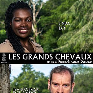 Bilder Les Grands chevaux