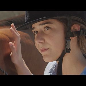 Bilder Les Grands chevaux