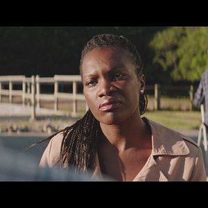 Bilder Les Grands chevaux