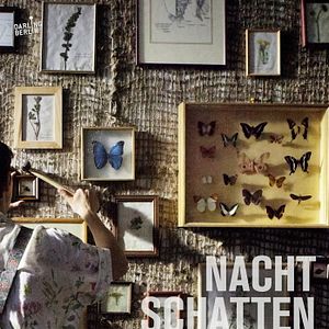 Bilder Nachtschattengewächse