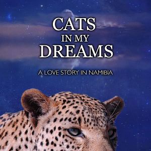 Bilder Katzen in meinen Träumen