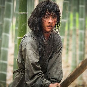 Bilder The Swordsman