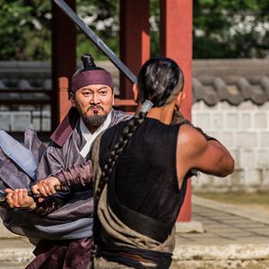 Bilder The Swordsman