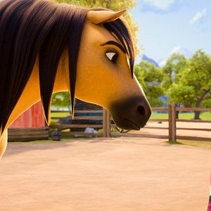 Bilder Spirit - frei und ungezähmt