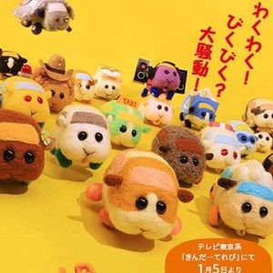 Bilder Pui Pui Molcar