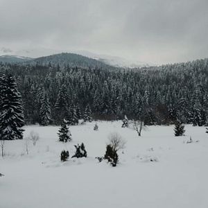 Bilder True Fiction - Kill Your Idol