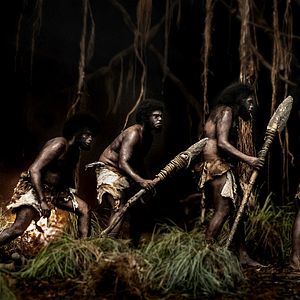 Bilder Zorn der Bestien - Jallikattu