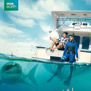 Bilder Animal Impossible