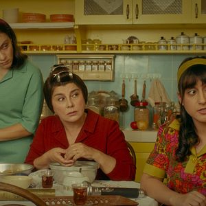 Bilder Hast du jemals Glühwürmchen gesehen?