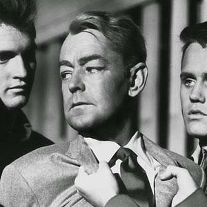 Bilder Der Tiger ist unter uns