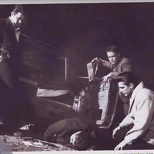 Bilder Der Tiger ist unter uns