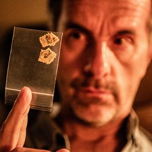 Bilder Tilo Neumann und das Universum