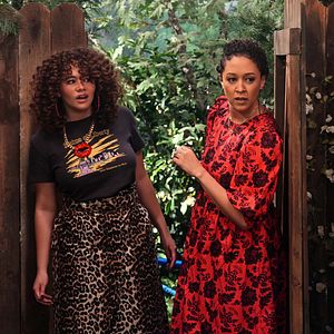 Bilder Familienanhang