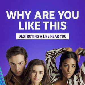 Bilder Why Are You Like This