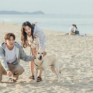 Bilder Lovestruck In The City