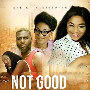 Bilder Not Good Enough